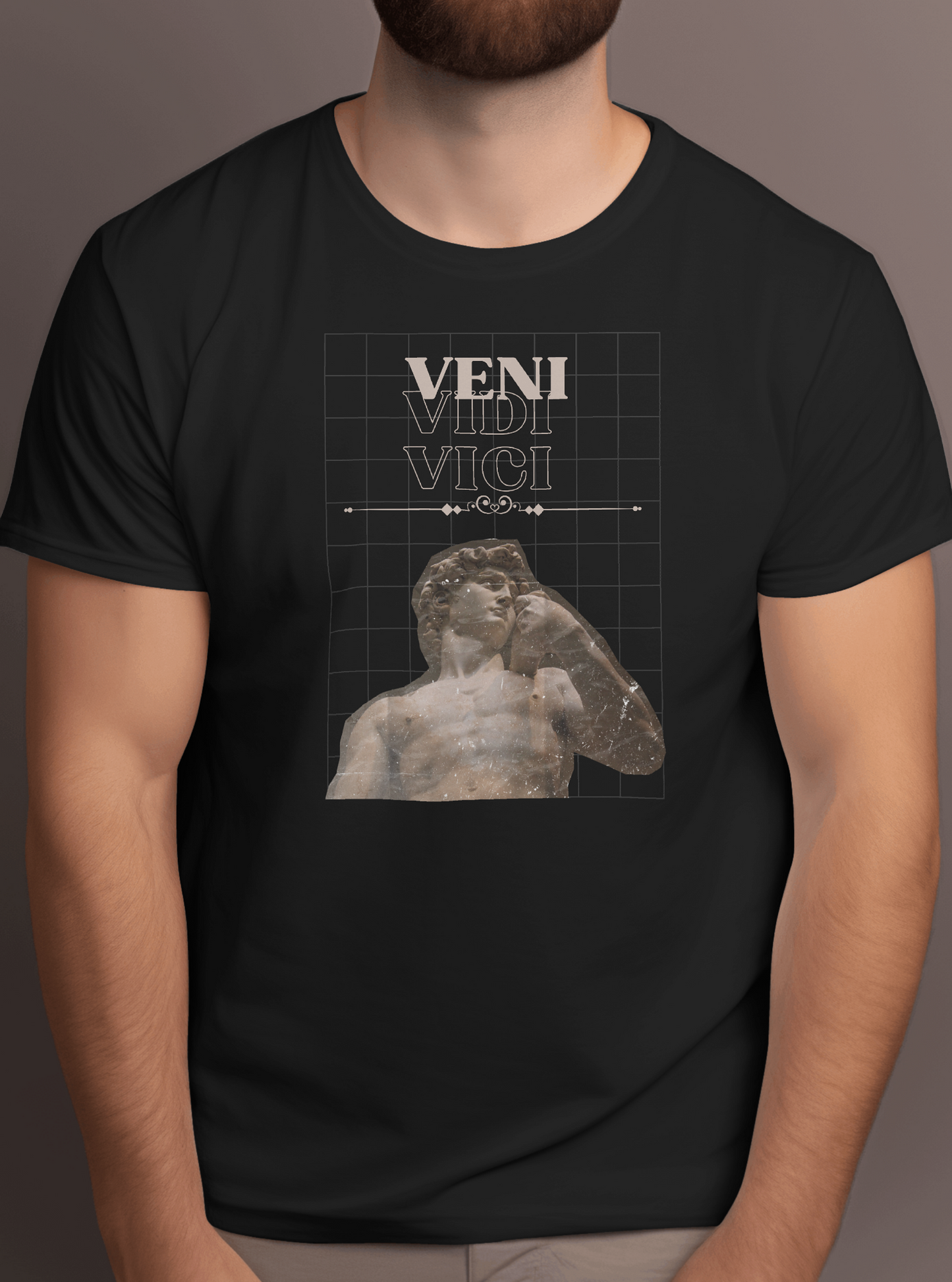 Veni Vedi Vici Tshirt